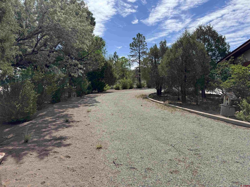 5811 Blue Spruce Avenue Alamosa CO 81101