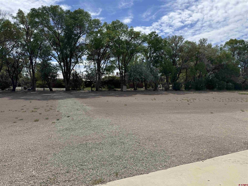 5811 Blue Spruce Avenue Alamosa CO 81101