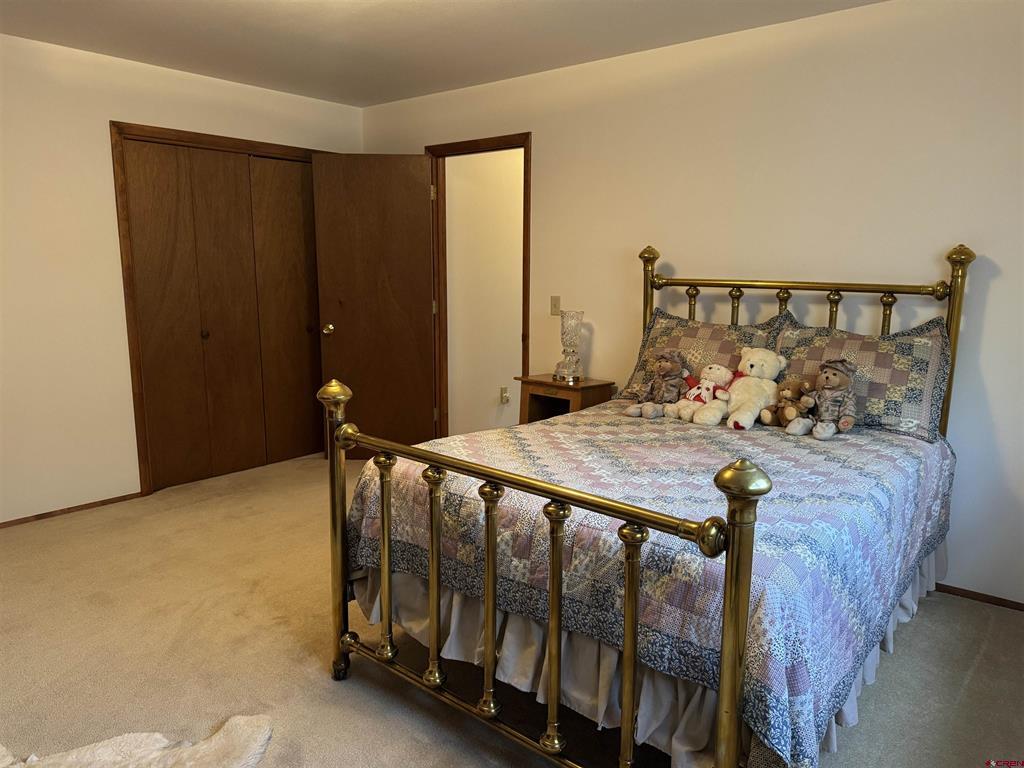 5811 Blue Spruce Avenue Alamosa CO 81101