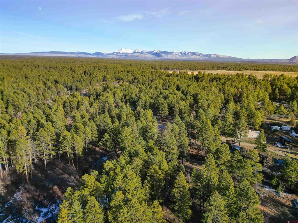 14071 Road 37 Mancos CO 81328