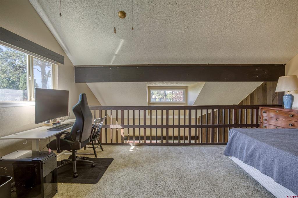 217 Pinon Causeway Pagosa Springs CO 81147