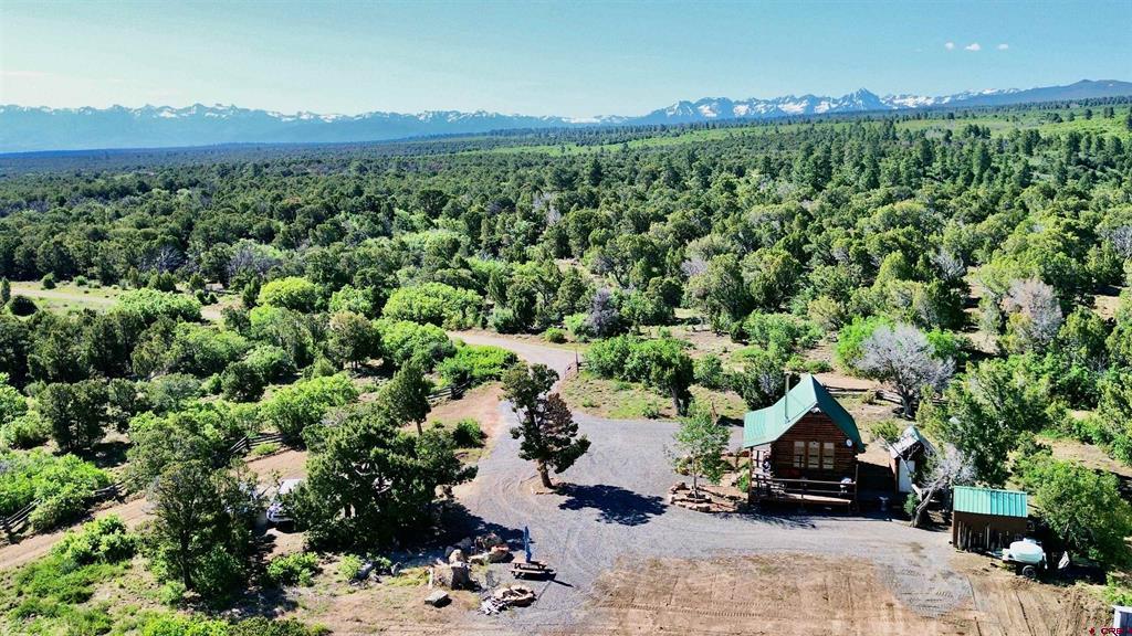 1165 Timber Ridge Road Montrose CO 81401
