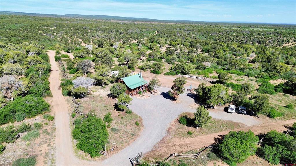 1165 Timber Ridge Road Montrose CO 81401
