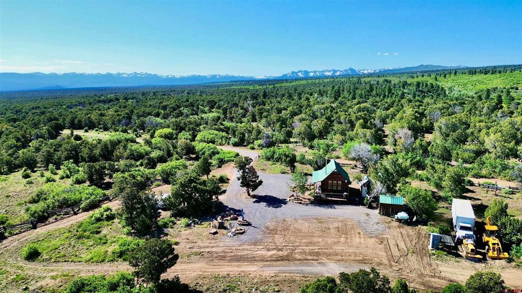 1165 Timber Ridge Road Montrose CO 81401