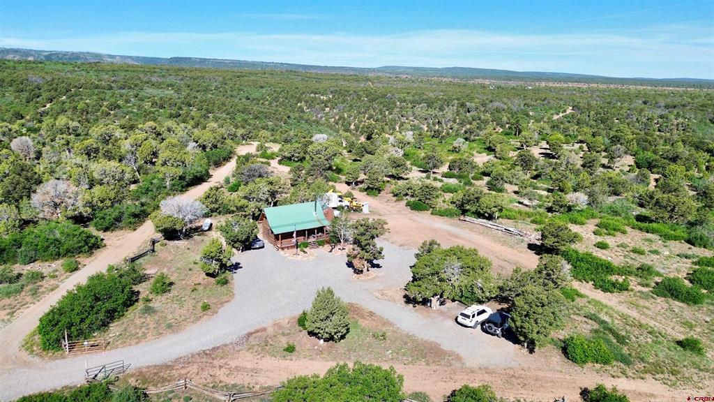 1165 Timber Ridge Road Montrose CO 81401