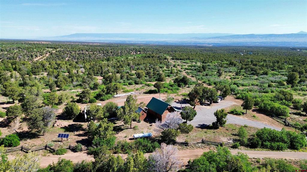 1165 Timber Ridge Road Montrose CO 81401
