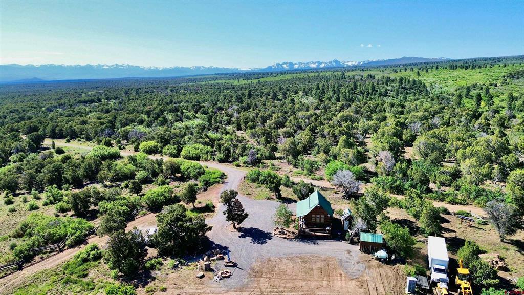 1165 Timber Ridge Road Montrose CO 81401
