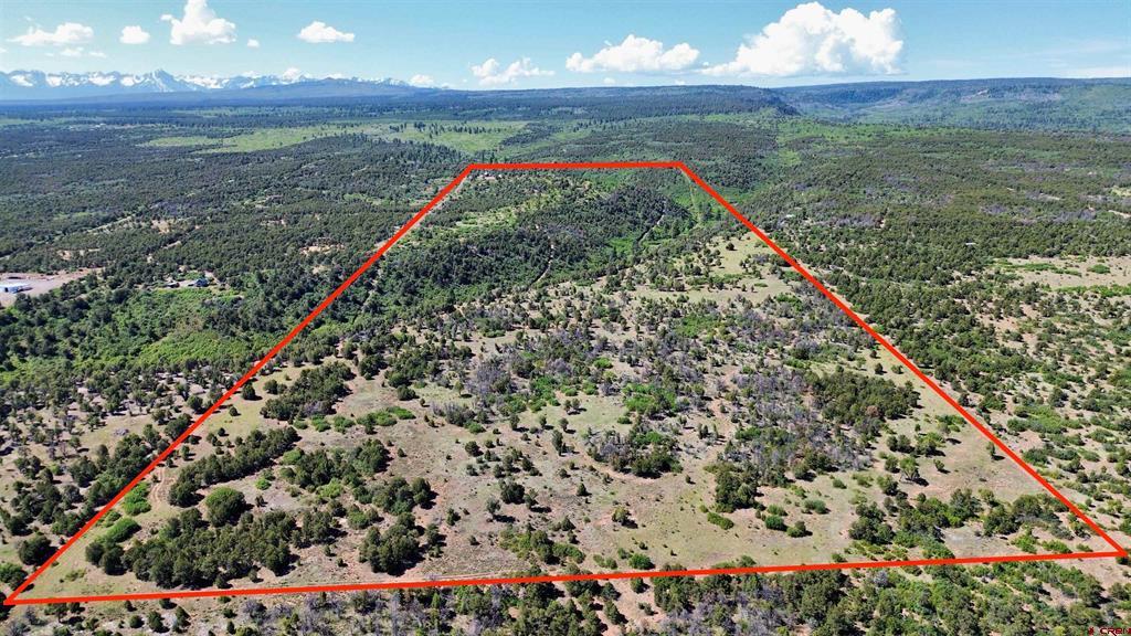 1165 Timber Ridge Road Montrose CO 81401