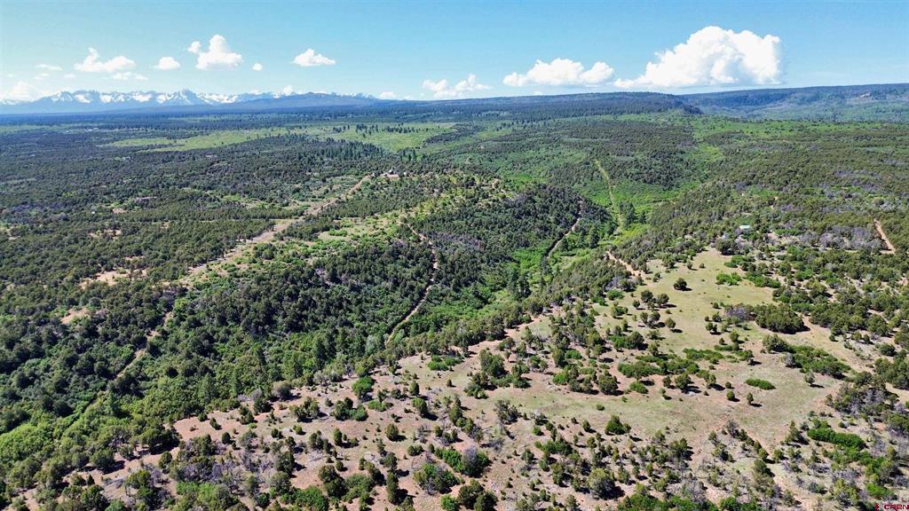 1165 Timber Ridge Road Montrose CO 81401