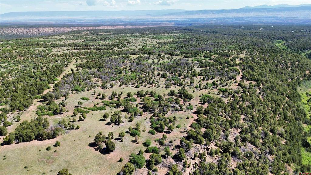1165 Timber Ridge Road Montrose CO 81401