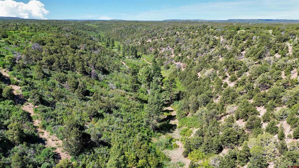 1165 Timber Ridge Road Montrose CO 81401