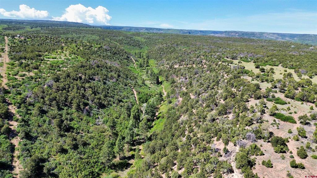 1165 Timber Ridge Road Montrose CO 81401