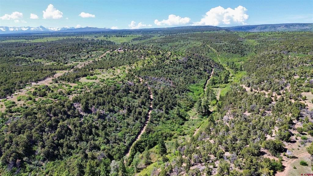 1165 Timber Ridge Road Montrose CO 81401