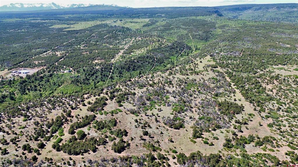 1165 Timber Ridge Road Montrose CO 81401