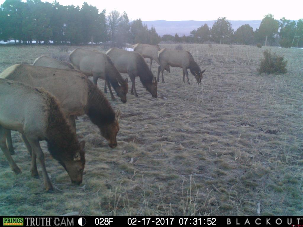 1165 Timber Ridge Road Montrose CO 81401