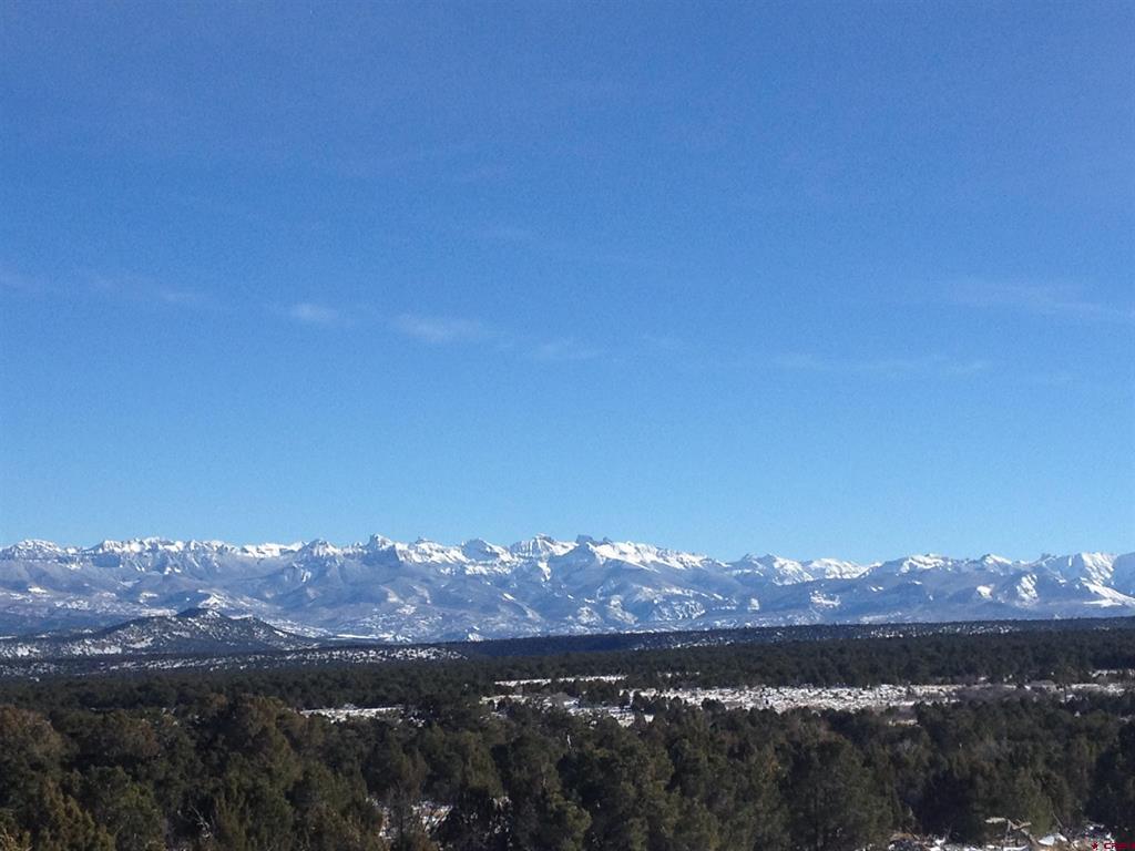 1165 Timber Ridge Road Montrose CO 81401
