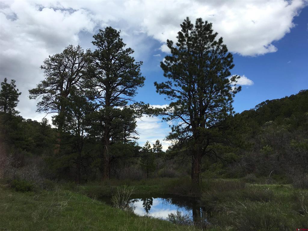1165 Timber Ridge Road Montrose CO 81401