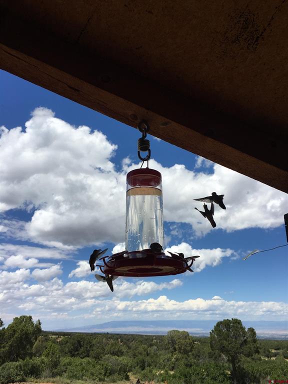 1165 Timber Ridge Road Montrose CO 81401