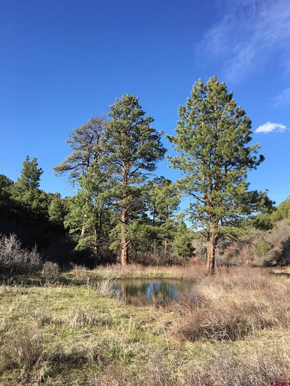 1165 Timber Ridge Road Montrose CO 81401