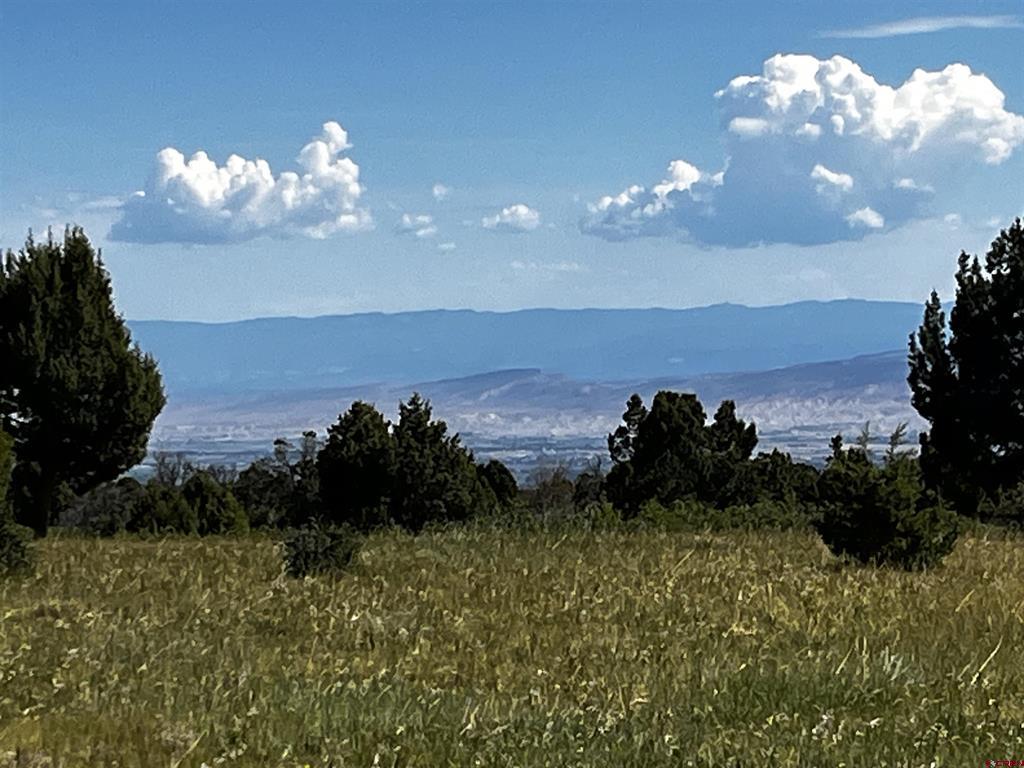 1165 Timber Ridge Road Montrose CO 81401