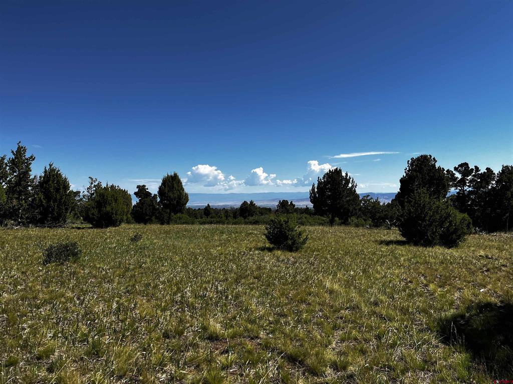 1165 Timber Ridge Road Montrose CO 81401