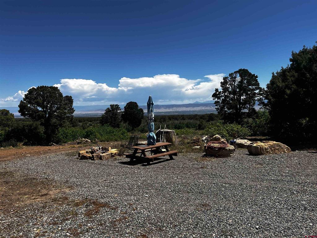 1165 Timber Ridge Road Montrose CO 81401