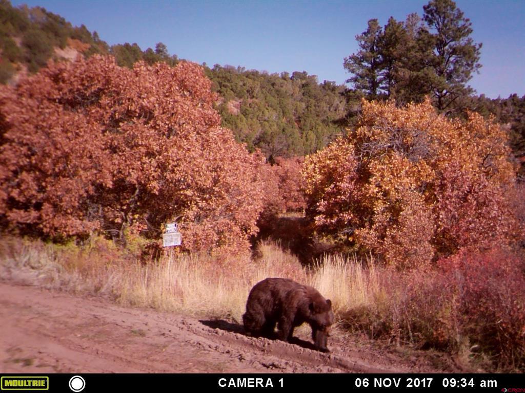 1165 Timber Ridge Road Montrose CO 81401