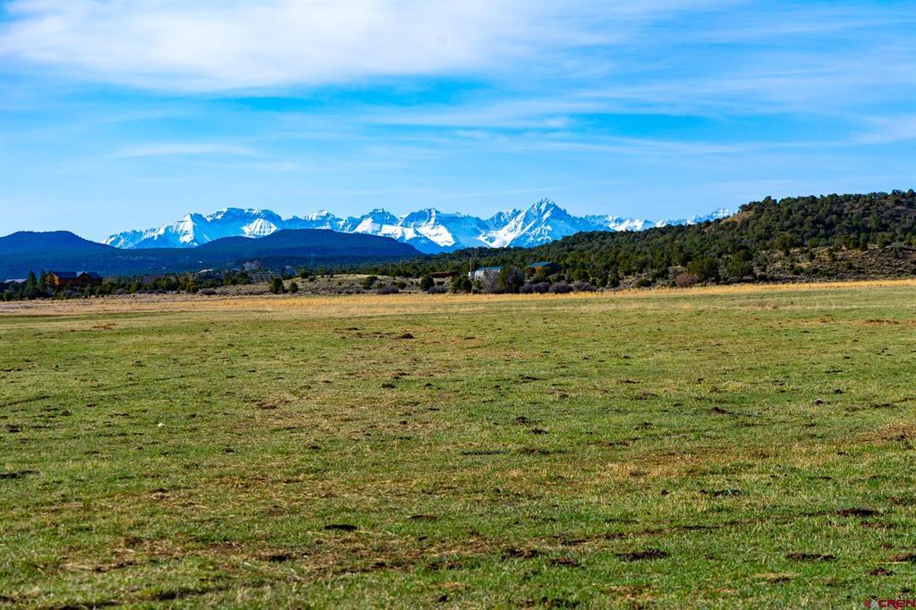 22465 Horsefly Road Montrose CO 81401