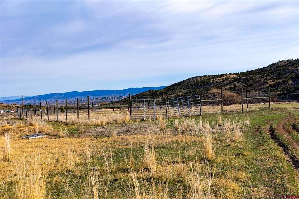 22465 Horsefly Road Montrose CO 81401