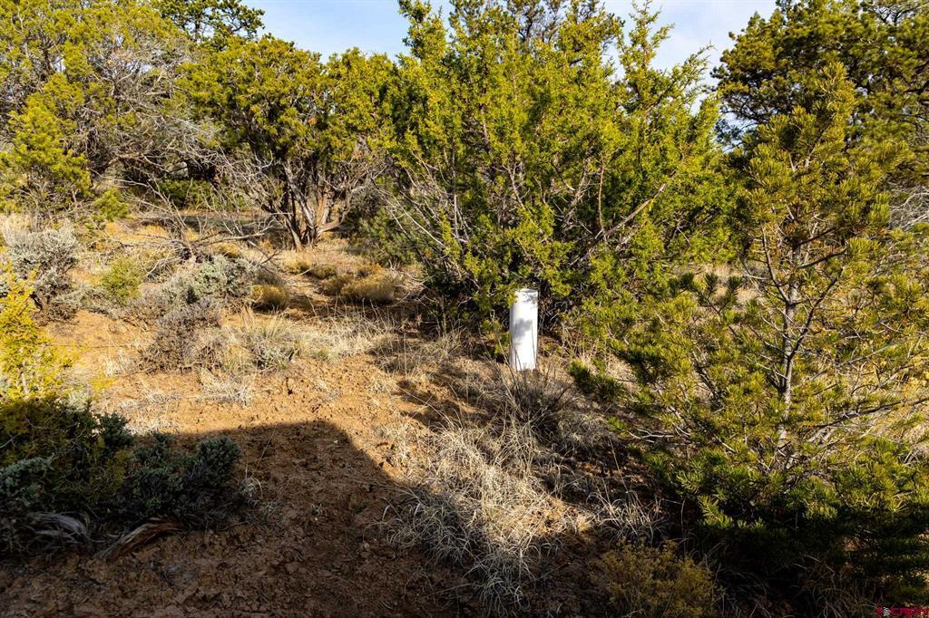 22465 Horsefly Road Montrose CO 81401