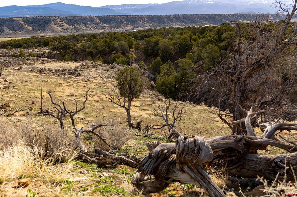 22465 Horsefly Road Montrose CO 81401