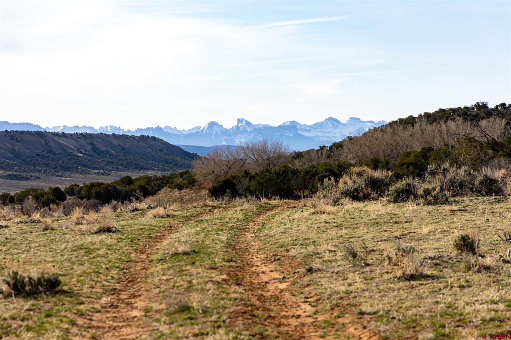 22465 Horsefly Road Montrose CO 81401