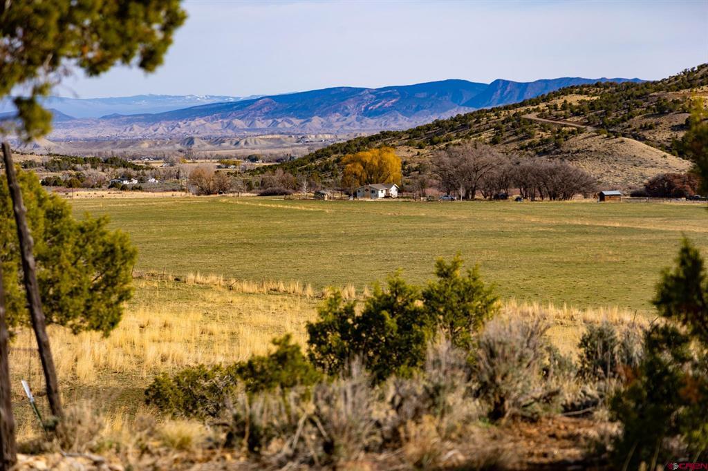 22465 Horsefly Road Montrose CO 81401
