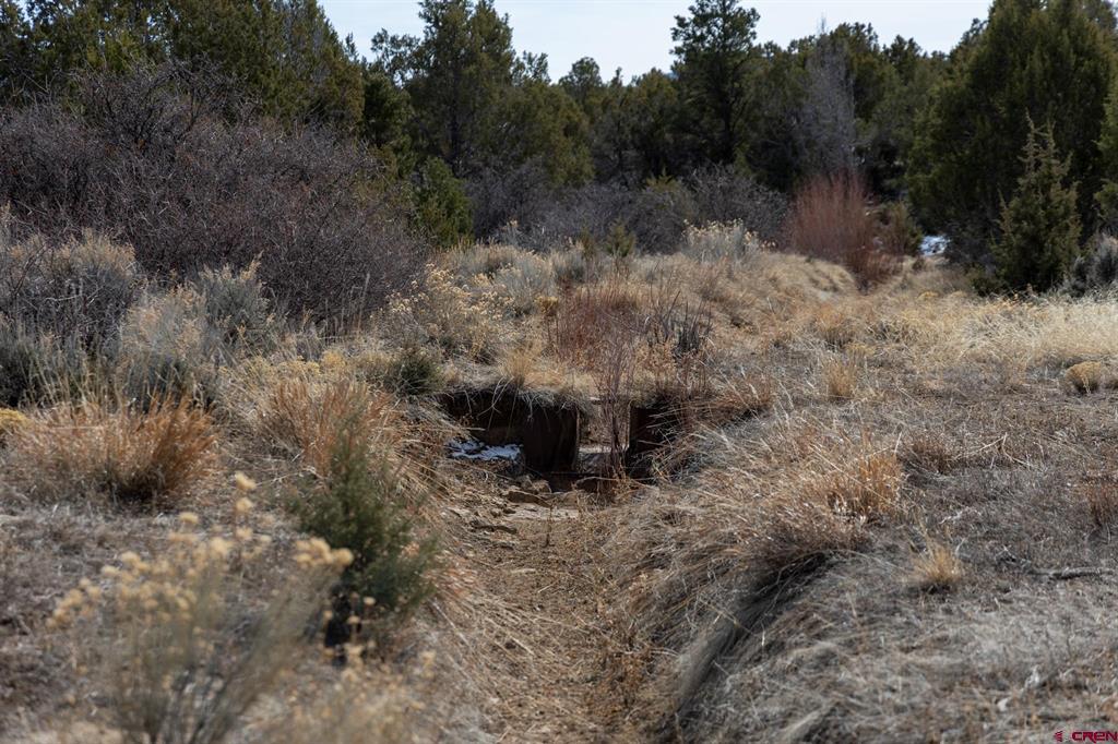 22465 Horsefly Road Montrose CO 81401