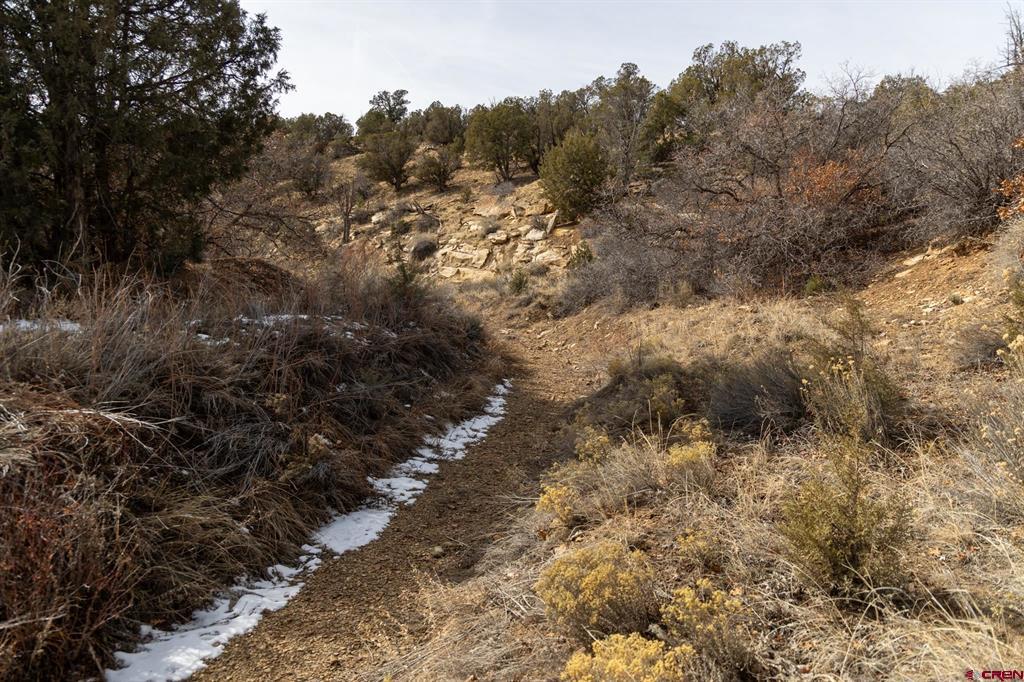 22465 Horsefly Road Montrose CO 81401