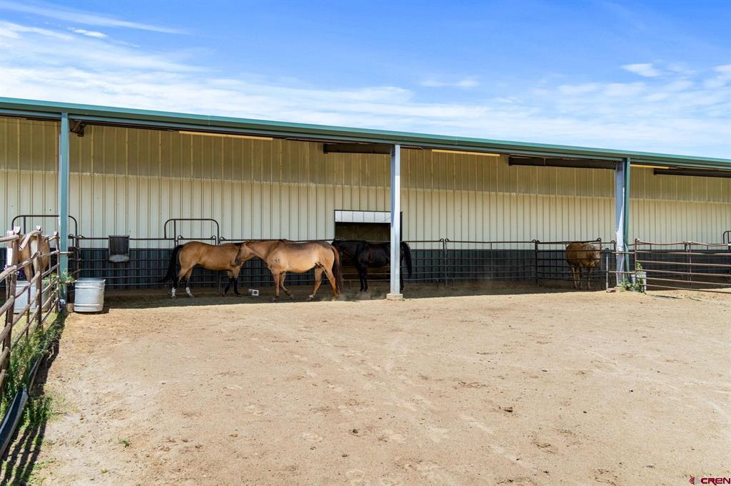 616 Cole Ranch Road Durango CO 81303