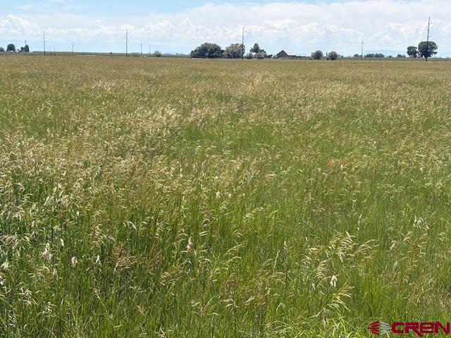 1395 W County Road 2 South Road Monte Vista CO 81144