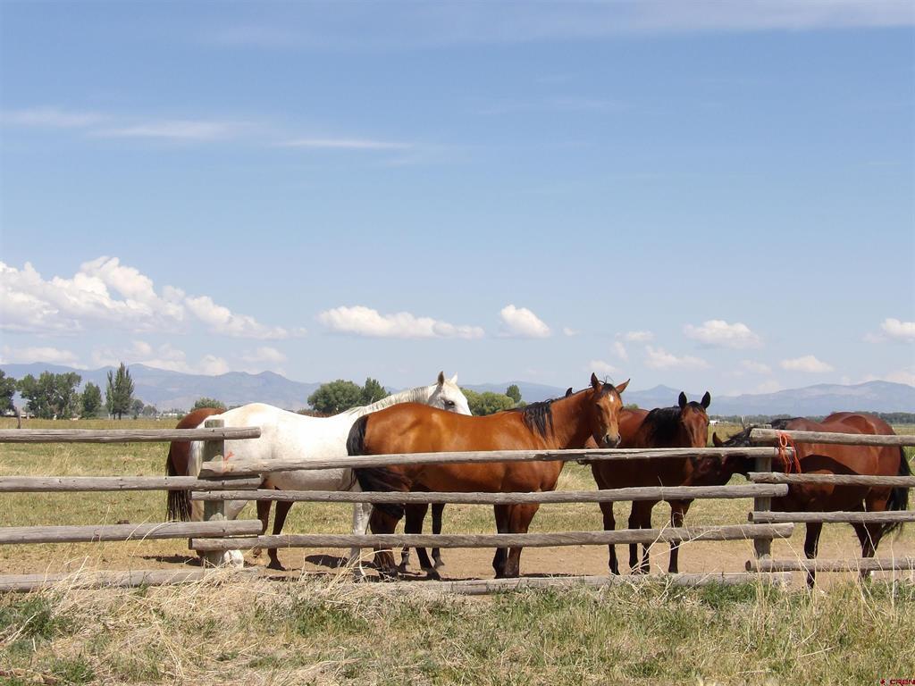 1395 W County Road 2 South Road Monte Vista CO 81144