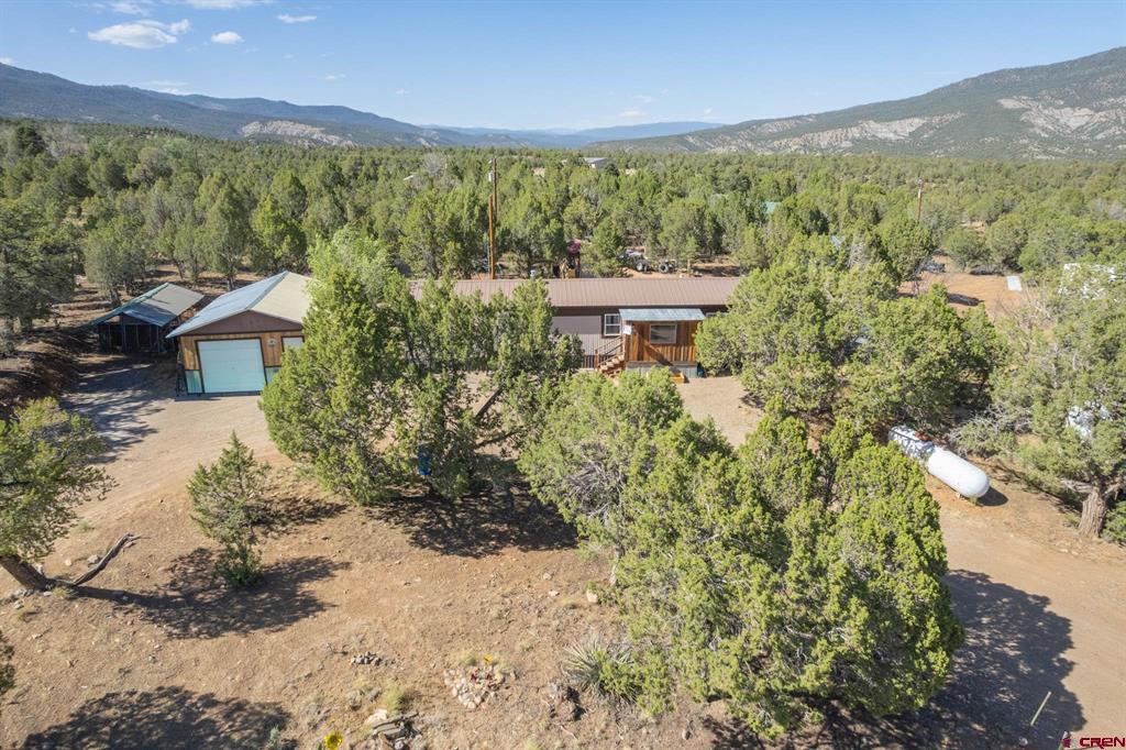 98 Wandering Hills Place Arboles CO 81121