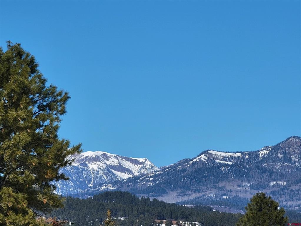 227 Oakwood Circle Pagosa Springs CO 81147