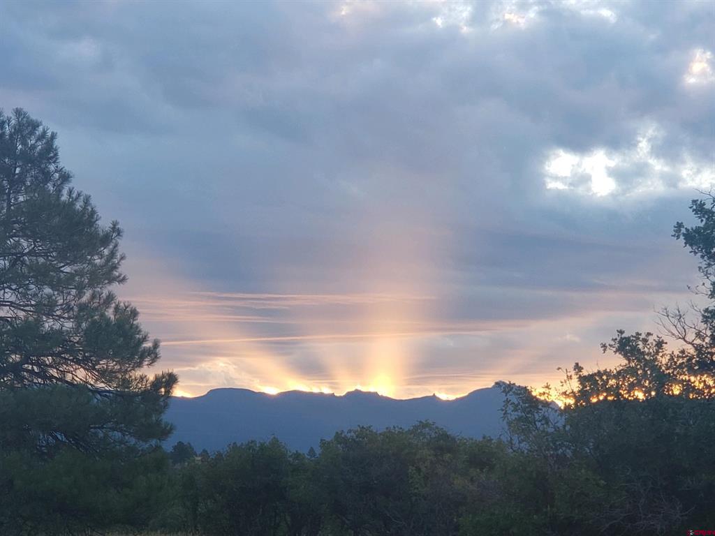 227 Oakwood Circle Pagosa Springs CO 81147