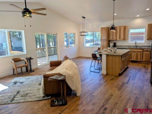 227 Oakwood Circle Pagosa Springs CO 81147