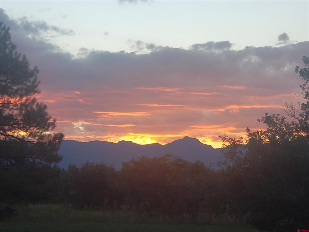 227 Oakwood Circle Pagosa Springs CO 81147