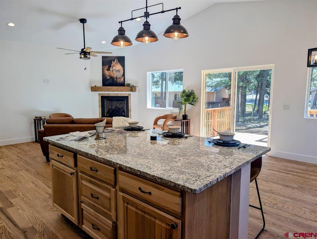 227 Oakwood Circle Pagosa Springs CO 81147