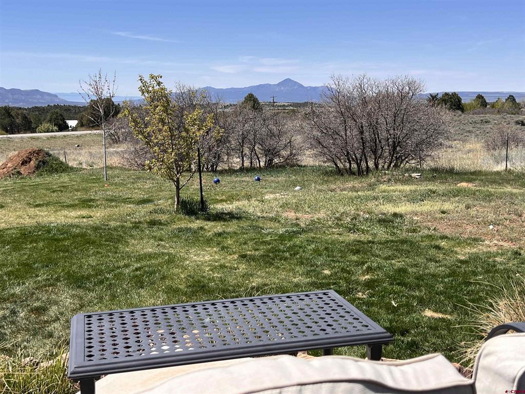 15021 Road 35 Mancos CO 81328