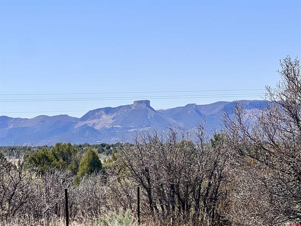 15021 Road 35 Mancos CO 81328