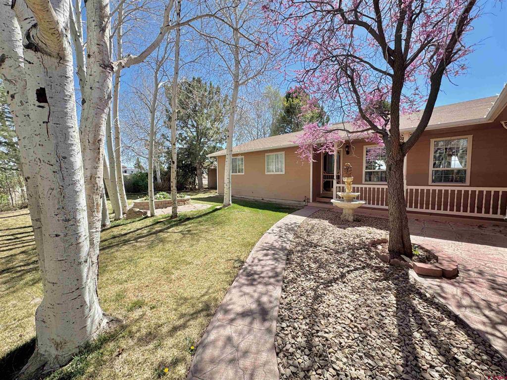 61460 Epitaph Road Montrose CO 81403
