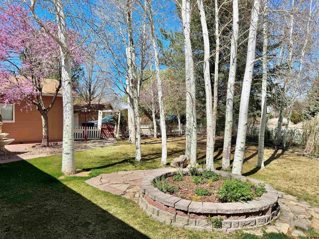 61460 Epitaph Road Montrose CO 81403