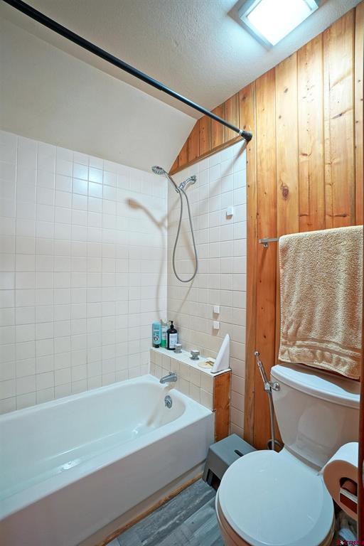 1256 Champ Lane Ouray CO 81427