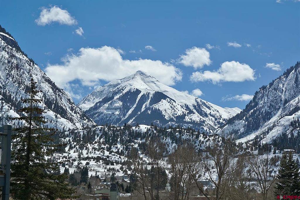 1256 Champ Lane Ouray CO 81427